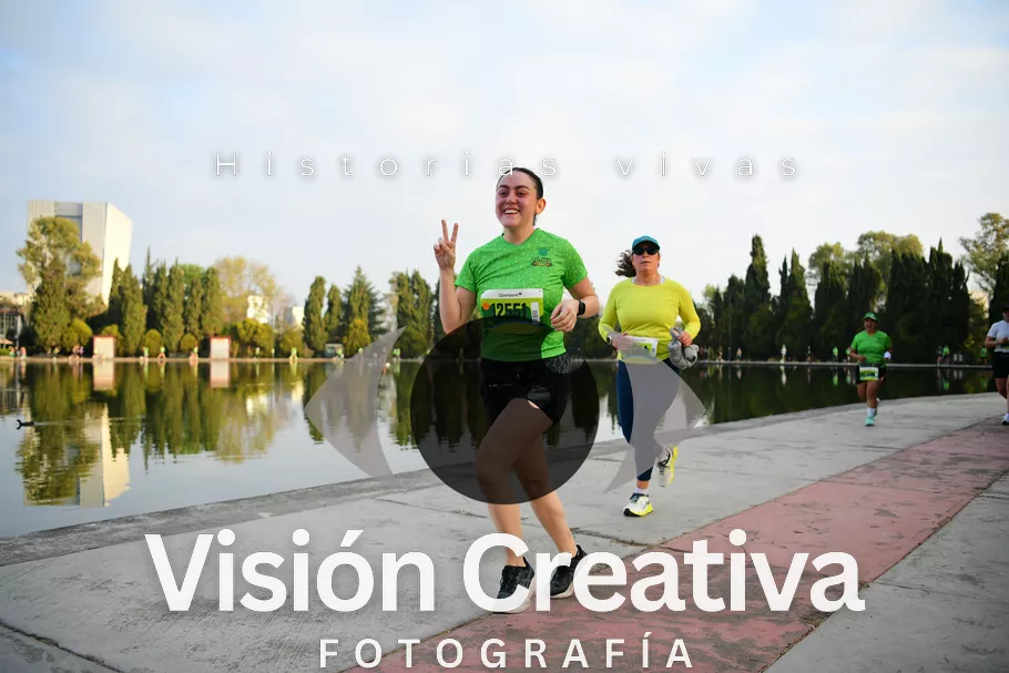 Foto del evento Shrek - CDMX 2026