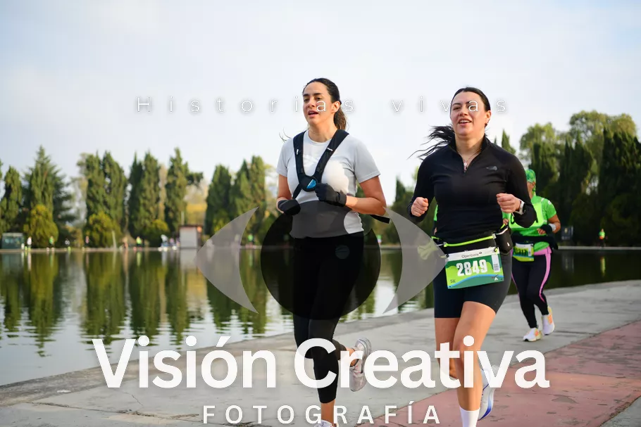 Foto del evento Shrek - CDMX 2026