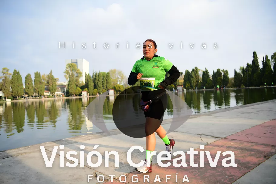 Foto del evento Shrek - CDMX 2026