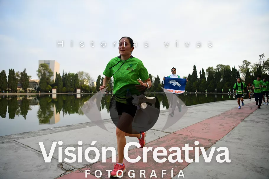 Foto del evento Shrek - CDMX 2026