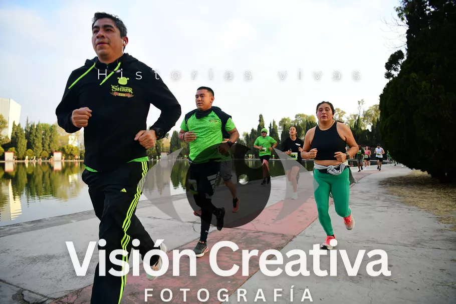 Foto del evento Shrek - CDMX 2026