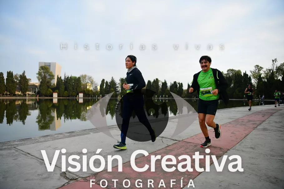Foto del evento Shrek - CDMX 2026