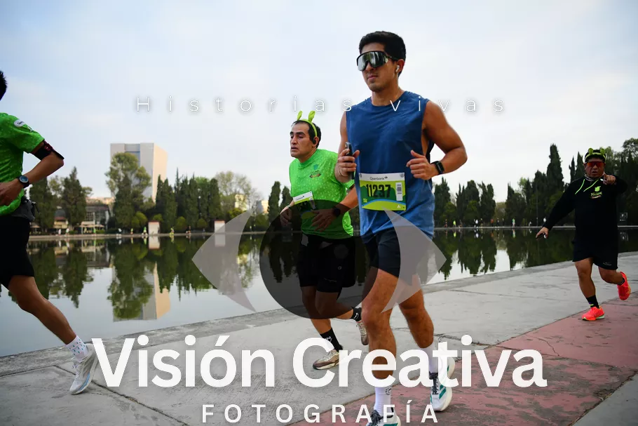 Foto del evento Shrek - CDMX 2026
