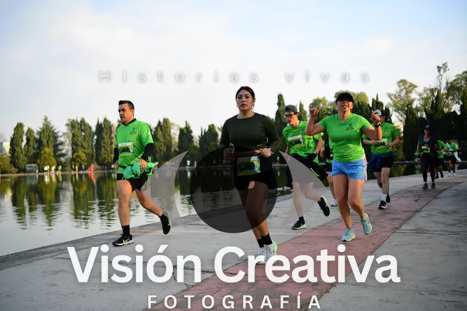 Foto del evento Shrek - CDMX 2026
