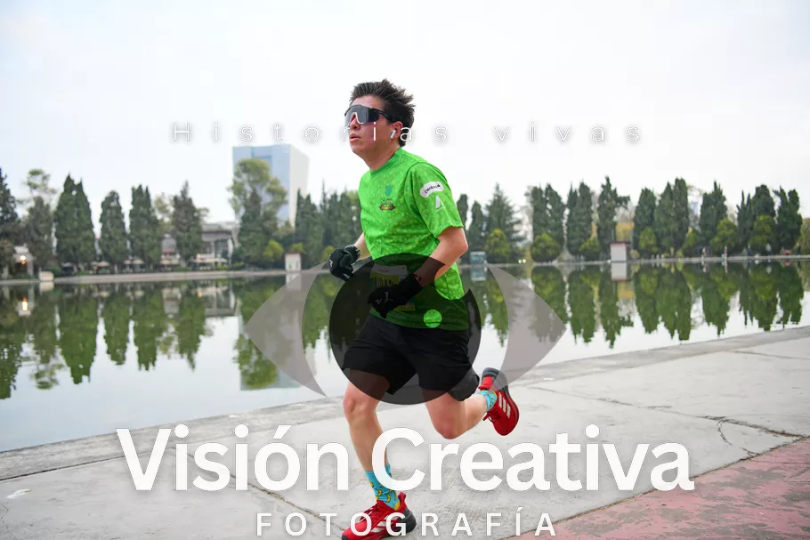 Foto del evento Shrek - CDMX 2026
