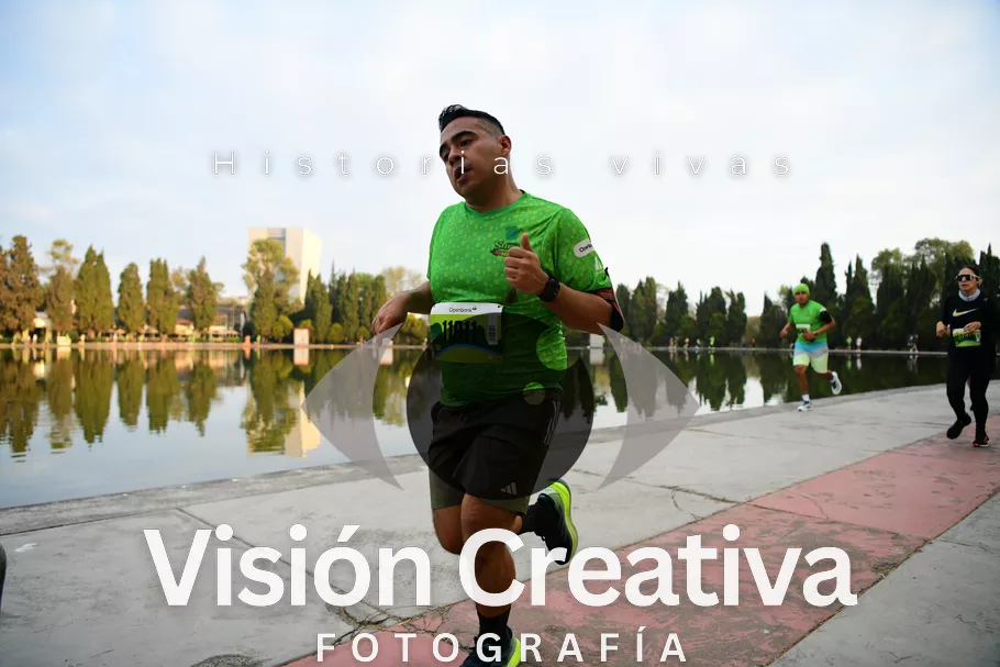 Foto del evento Shrek - CDMX 2026