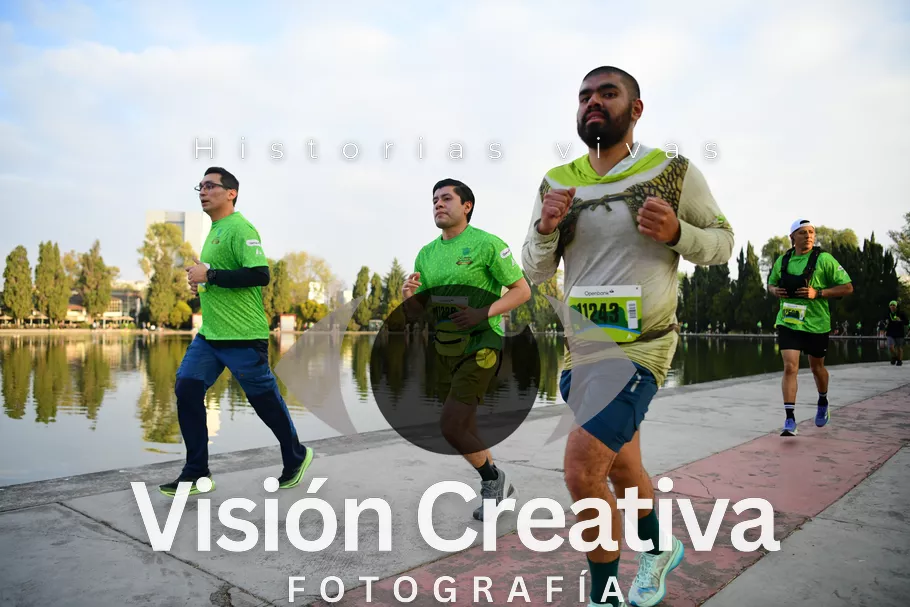 Foto del evento Shrek - CDMX 2026