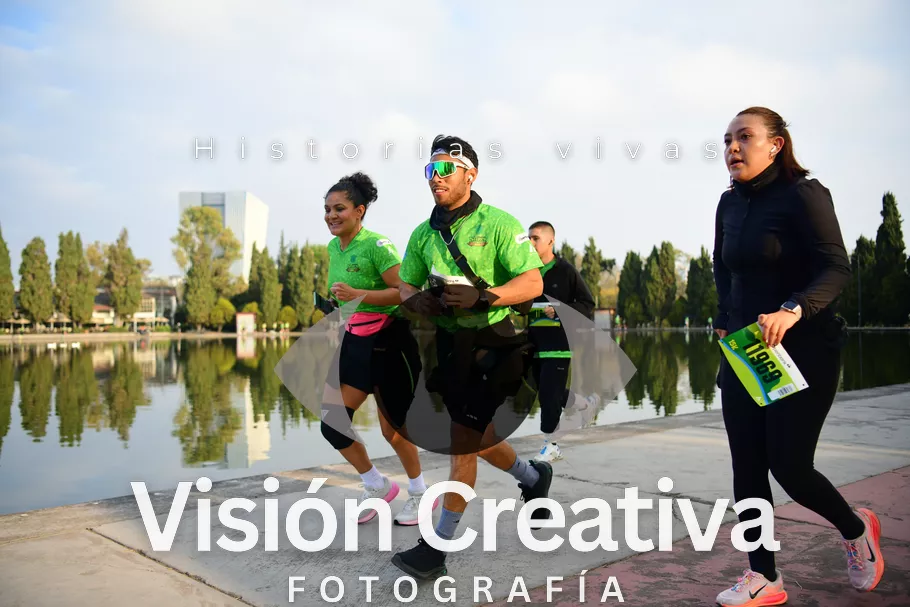 Foto del evento Shrek - CDMX 2026