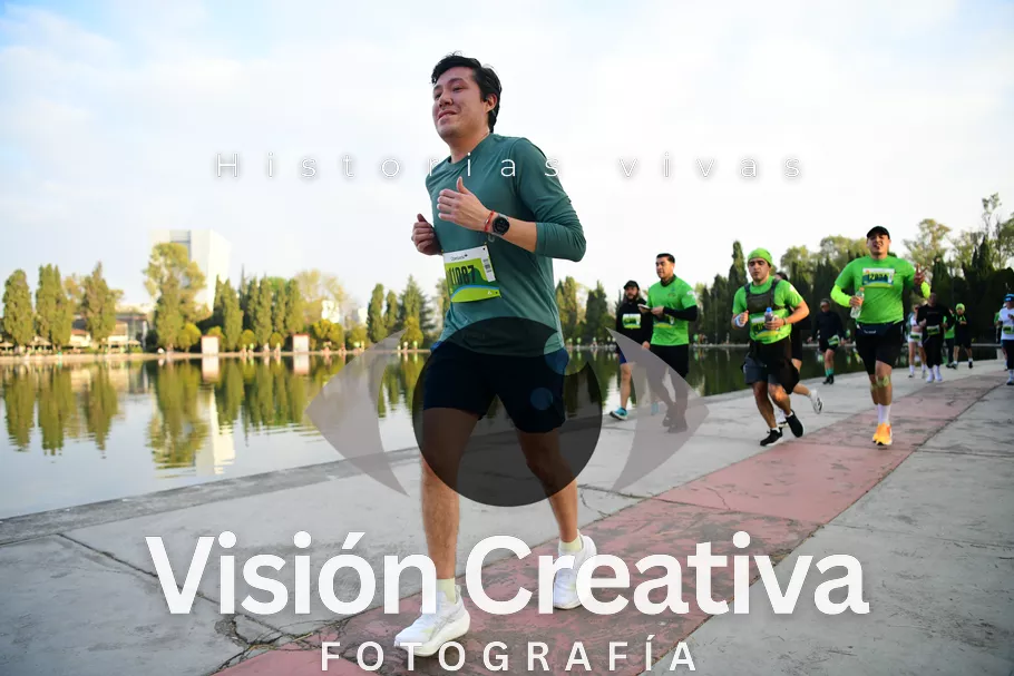 Foto del evento Shrek - CDMX 2026