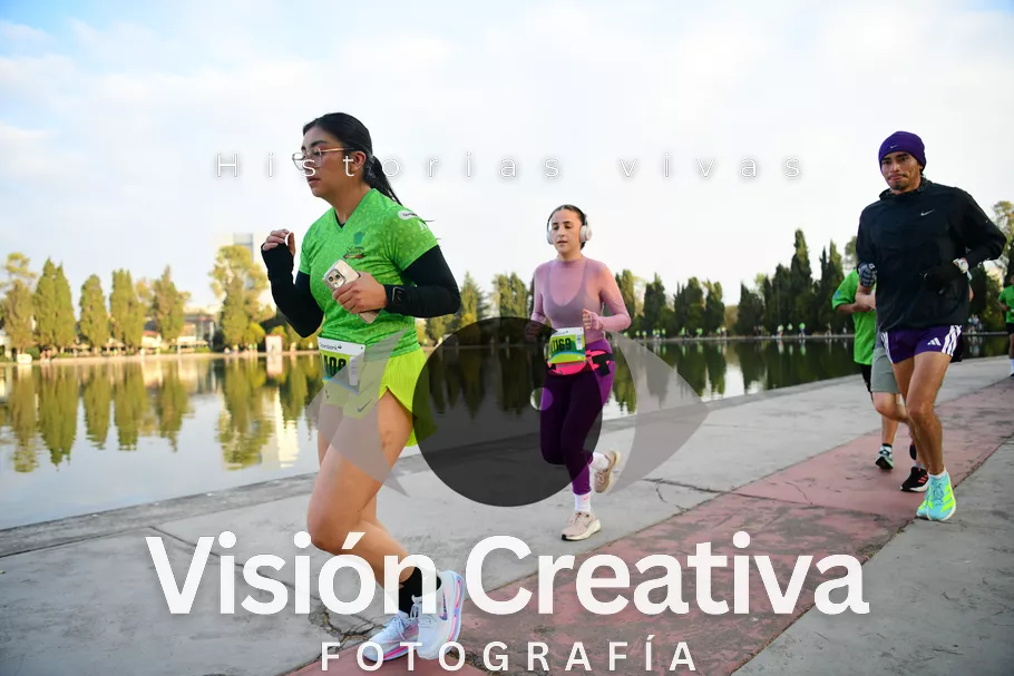 Foto del evento Shrek - CDMX 2026