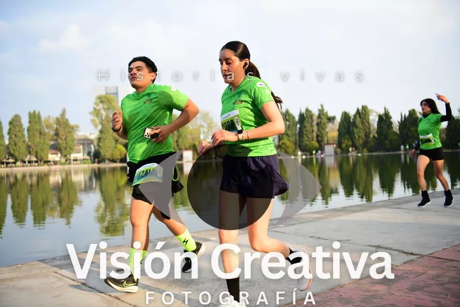 Foto del evento Shrek - CDMX 2026