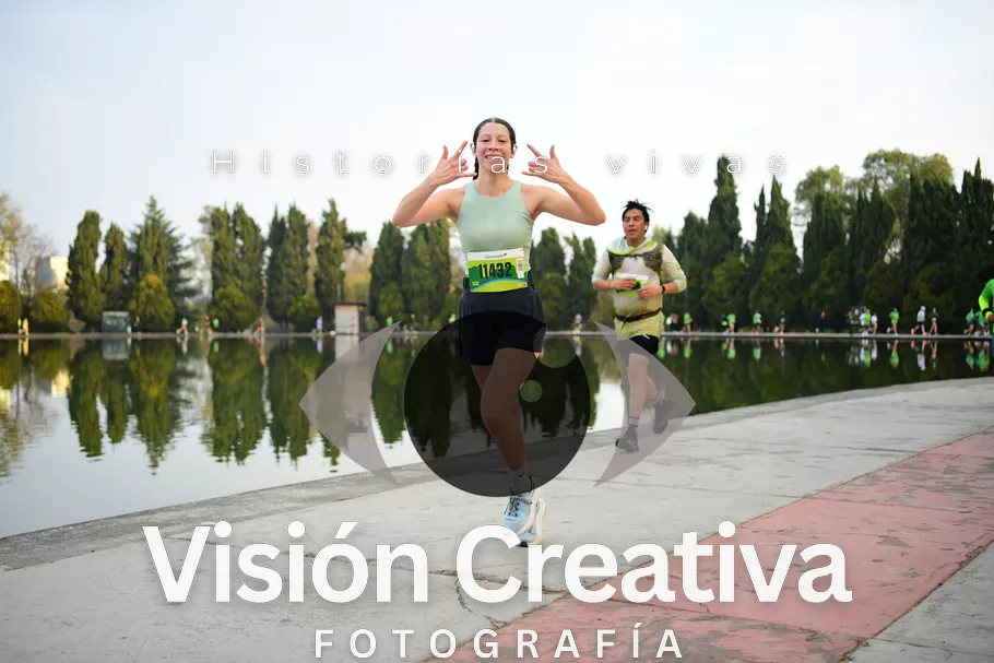 Foto del evento Shrek - CDMX 2026