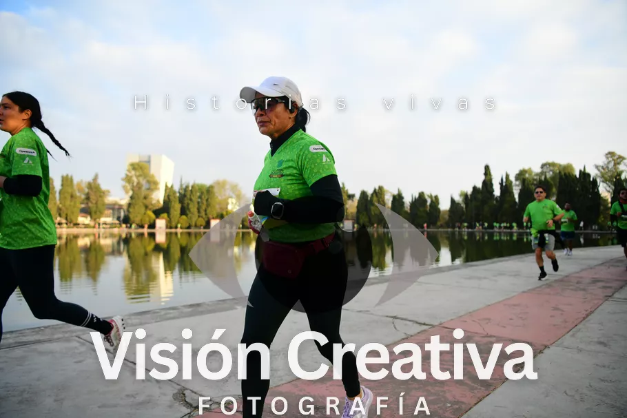 Foto del evento Shrek - CDMX 2026