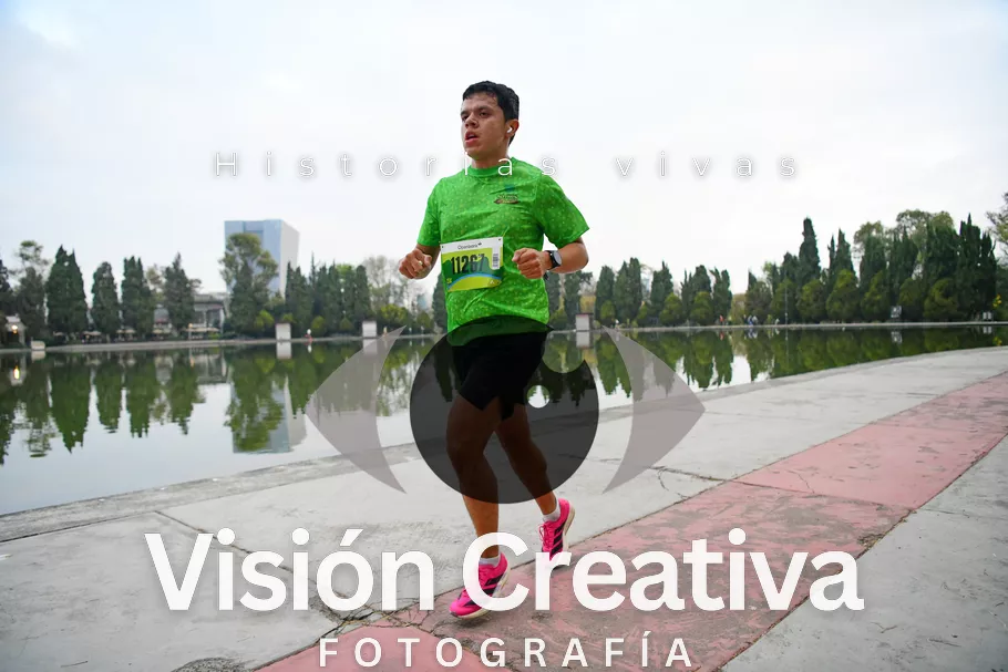 Foto del evento Shrek - CDMX 2026