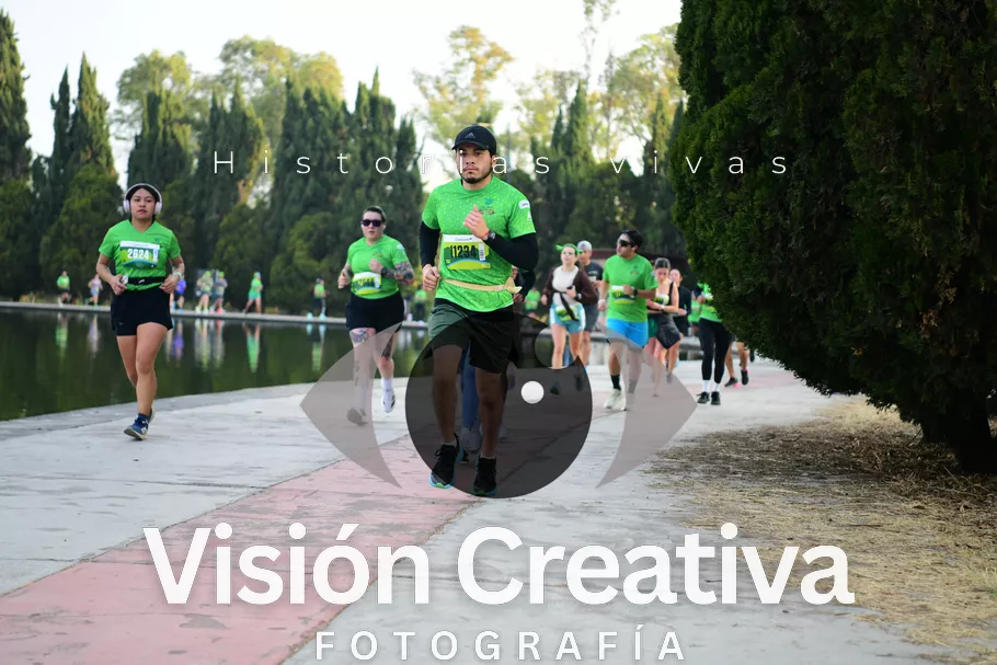 Foto del evento Shrek - CDMX 2026