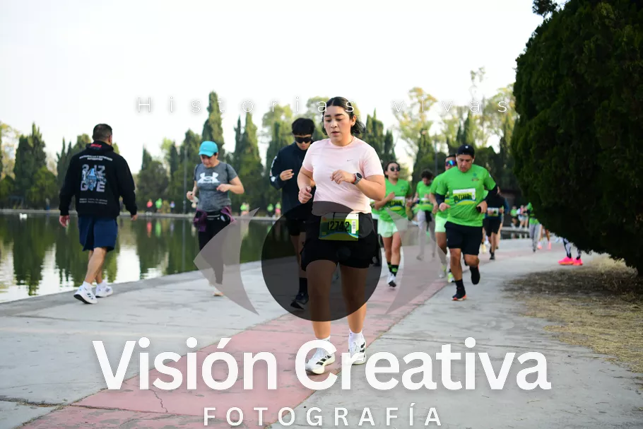 Foto del evento Shrek - CDMX 2026