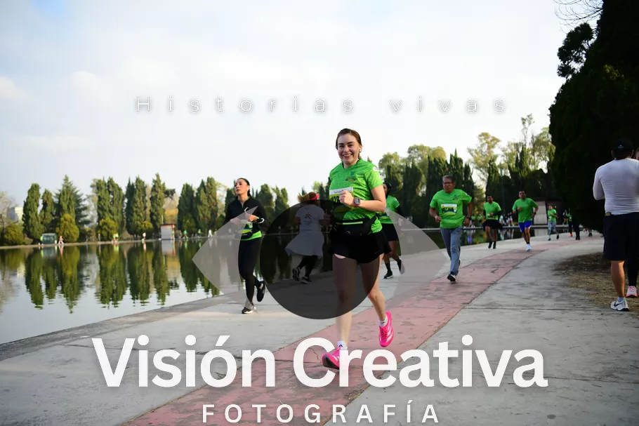 Foto del evento Shrek - CDMX 2026