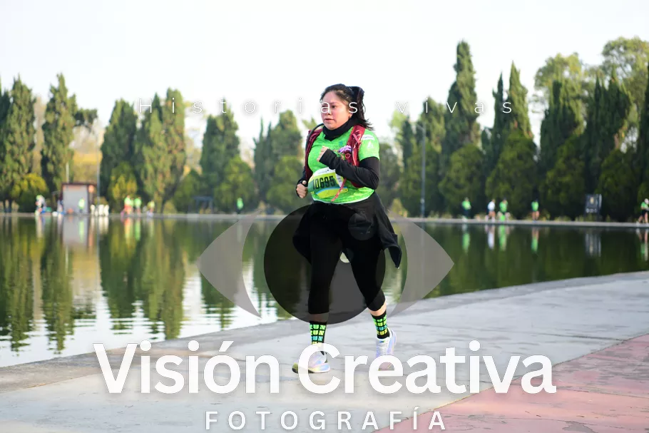 Foto del evento Shrek - CDMX 2026
