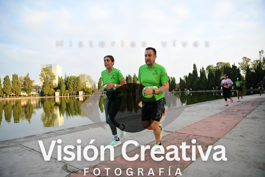 Foto del evento Shrek - CDMX 2026