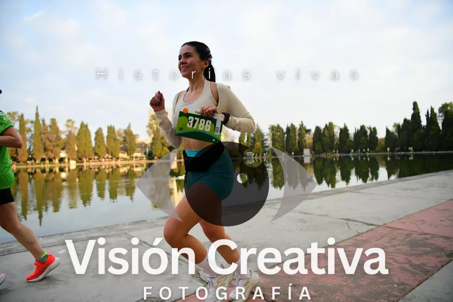 Foto del evento Shrek - CDMX 2026