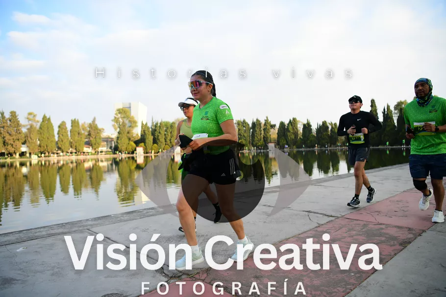 Foto del evento Shrek - CDMX 2026
