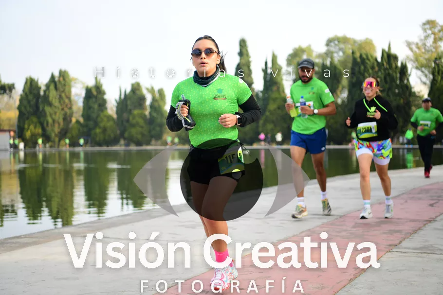 Foto del evento Shrek - CDMX 2026