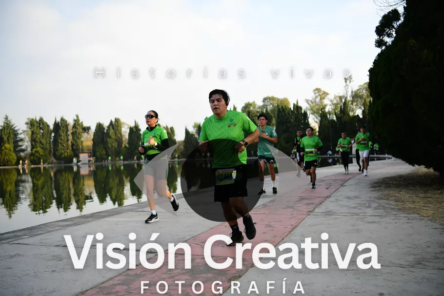 Foto del evento Shrek - CDMX 2026