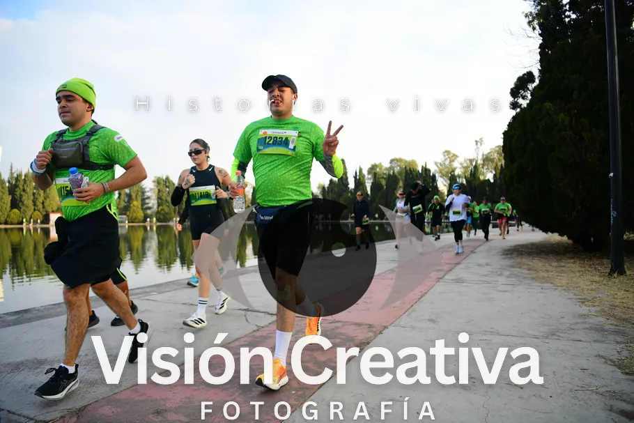 Foto del evento Shrek - CDMX 2026