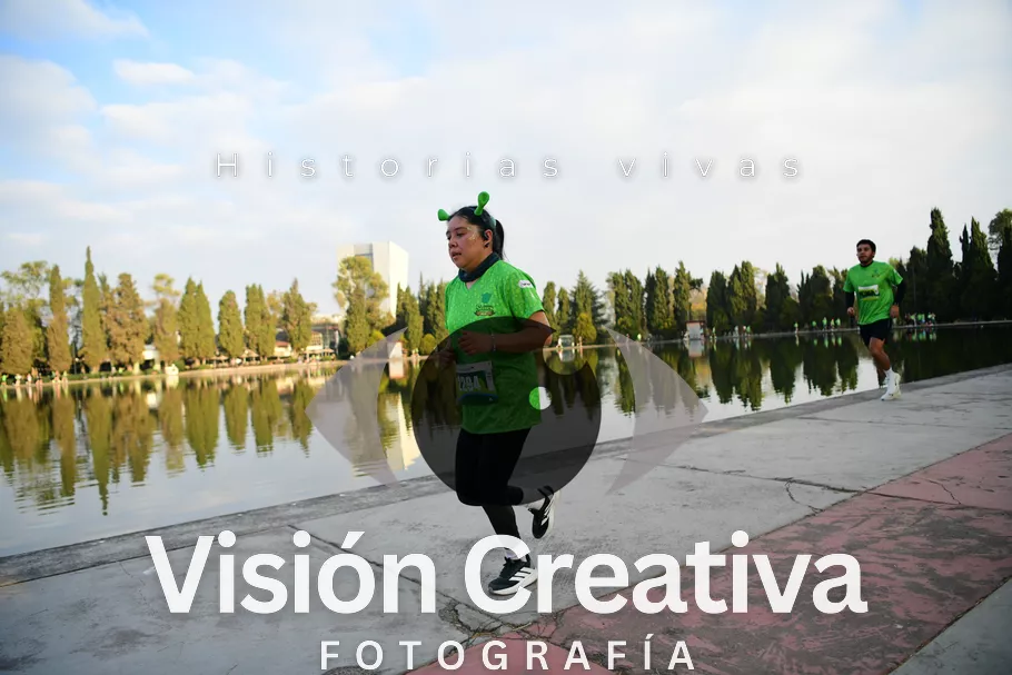 Foto del evento Shrek - CDMX 2026