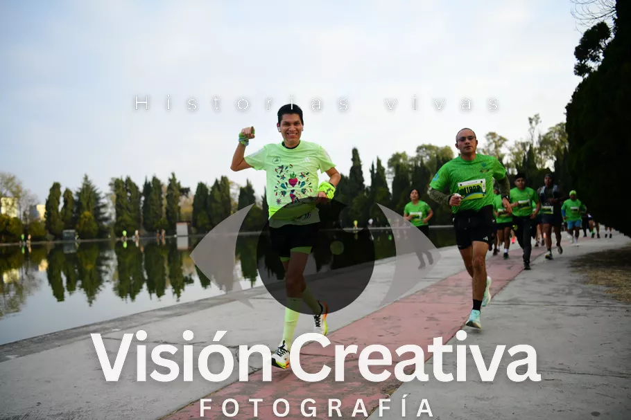 Foto del evento Shrek - CDMX 2026