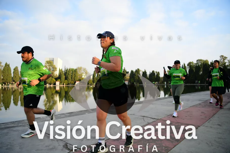 Foto del evento Shrek - CDMX 2026