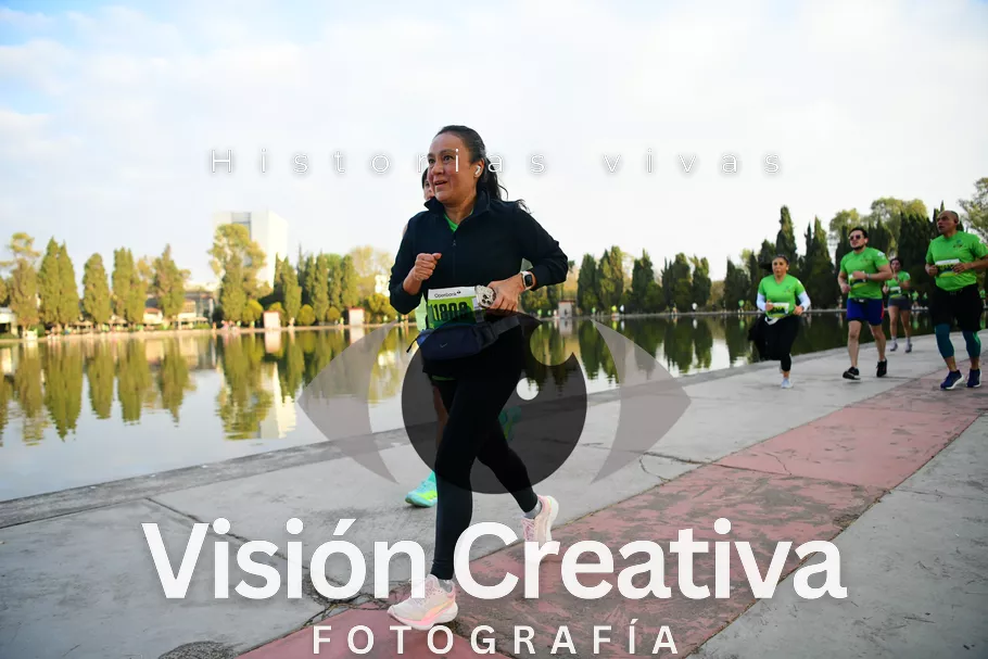 Foto del evento Shrek - CDMX 2026