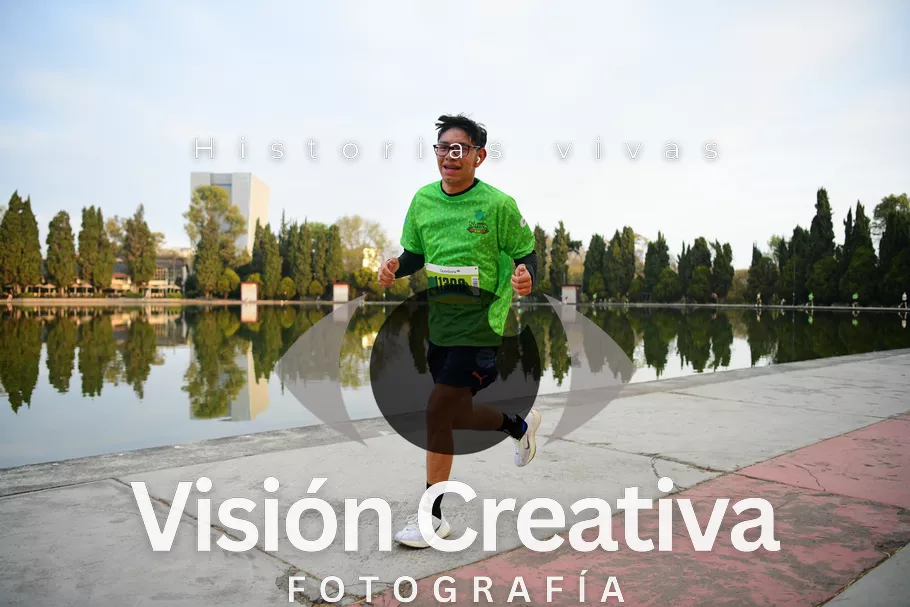 Foto del evento Shrek - CDMX 2026