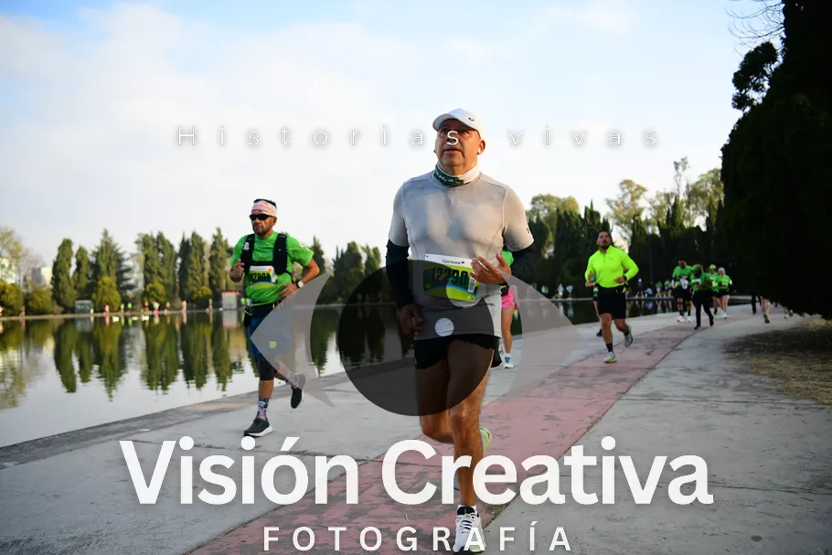 Foto del evento Shrek - CDMX 2026
