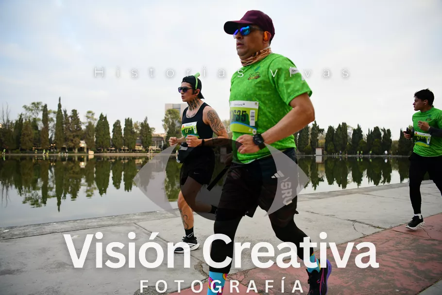 Foto del evento Shrek - CDMX 2026