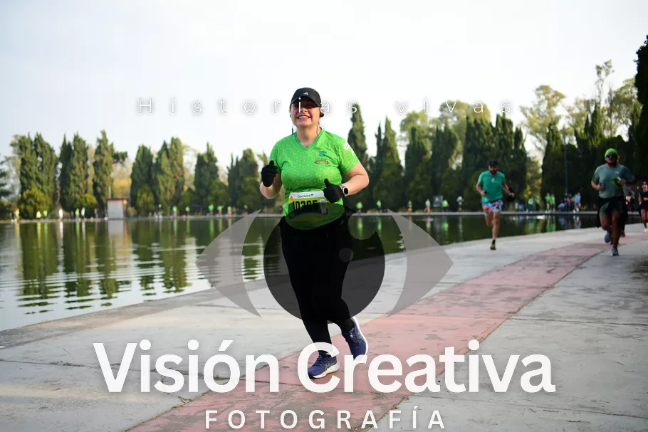Foto del evento Shrek - CDMX 2026