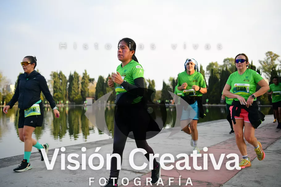 Foto del evento Shrek - CDMX 2026