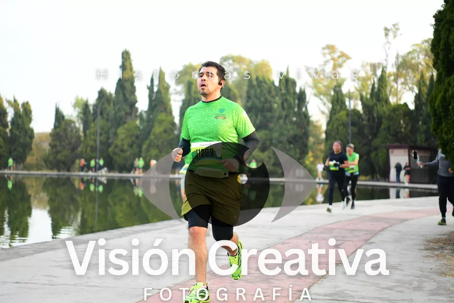 Foto del evento Shrek - CDMX 2026