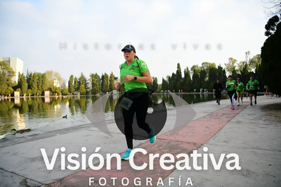 Foto del evento Shrek - CDMX 2026