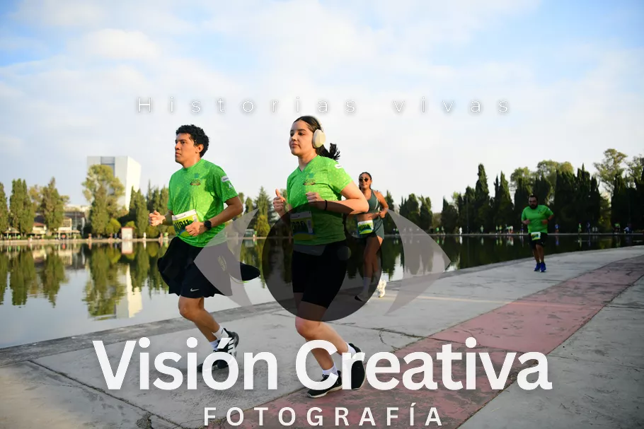 Foto del evento Shrek - CDMX 2026
