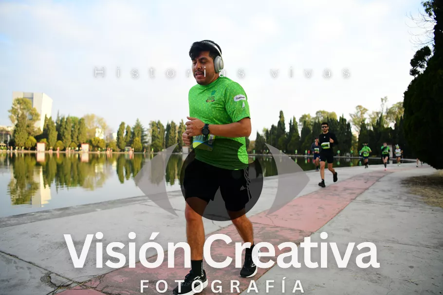 Foto del evento Shrek - CDMX 2026