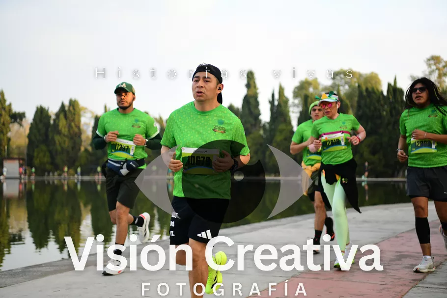 Foto del evento Shrek - CDMX 2026
