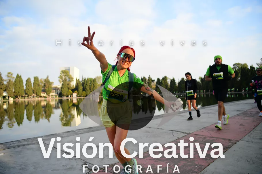 Foto del evento Shrek - CDMX 2026
