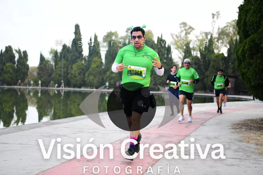 Foto del evento Shrek - CDMX 2026