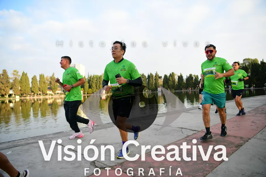 Foto del evento Shrek - CDMX 2026