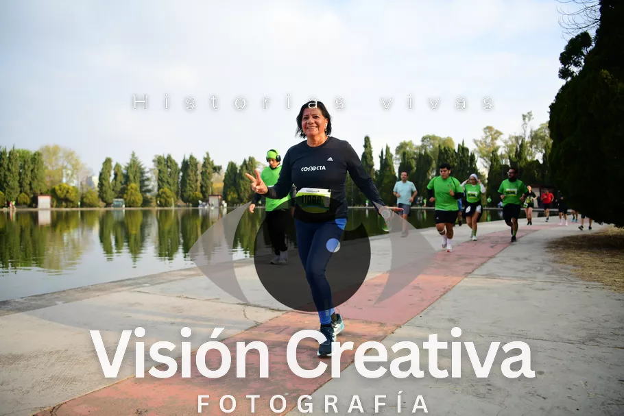 Foto del evento Shrek - CDMX 2026