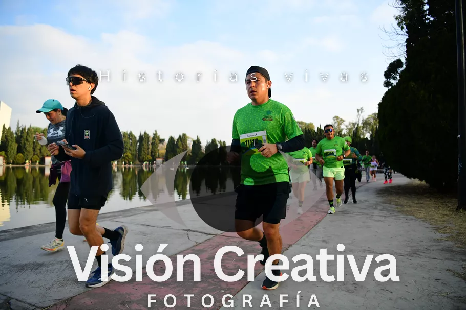 Foto del evento Shrek - CDMX 2026