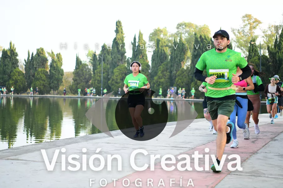 Foto del evento Shrek - CDMX 2026