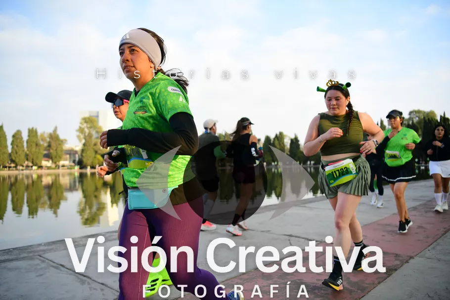 Foto del evento Shrek - CDMX 2026
