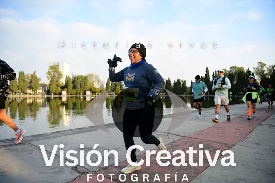 Foto del evento Shrek - CDMX 2026